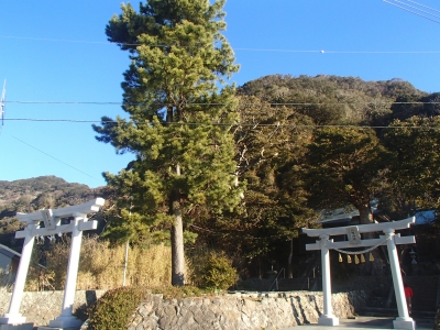 P1102136.JPG