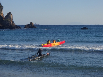 P1102223.JPG