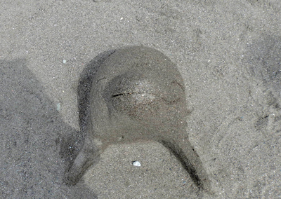 P3291391.jpg