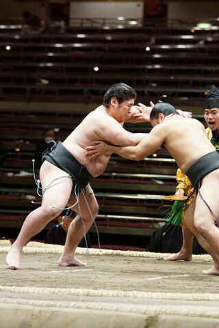 将豊竜く～ん\(^o^) ／ 時津風部屋ファンサイト