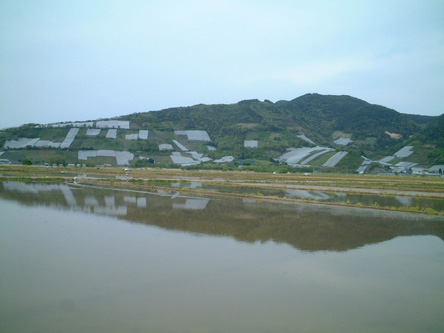 赤湯日本百景田園風景