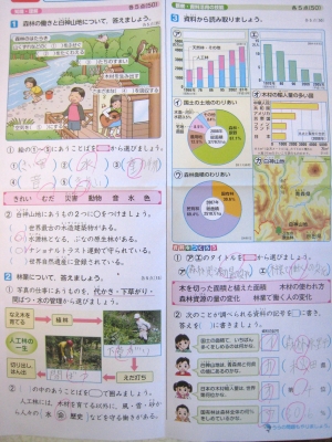 小学校のテスト A Girl In The Forest