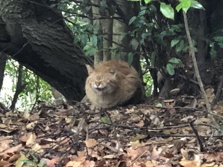 2019-04-29 08.48.02.jpg