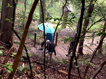 2019-04-29 08.53.34-1.jpg