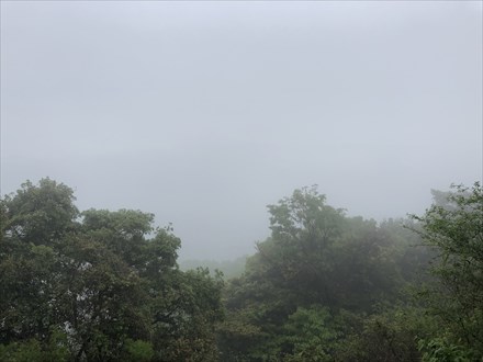 2019-04-29 09.31.59.jpg