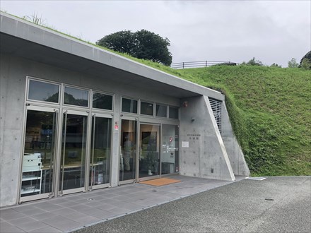 2019-07-14 15.46.20.jpg