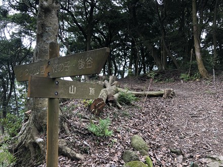 s2019-08-18 09.55.50-8.jpg