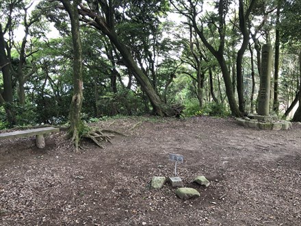 s2019-08-18 09.55.50-9.jpg