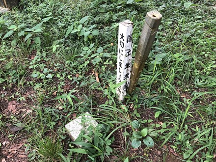 s2019-08-18 10.39.43.jpg