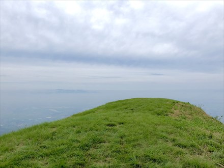 s2019-08-18 11.05.54-1.jpg