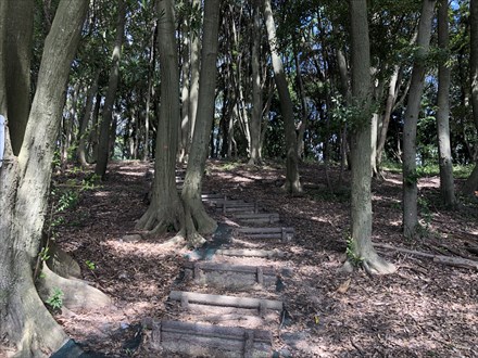 s2019-09-06 14.00.13.jpg