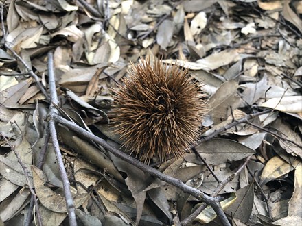 s2019-09-06 14.05.07.jpg