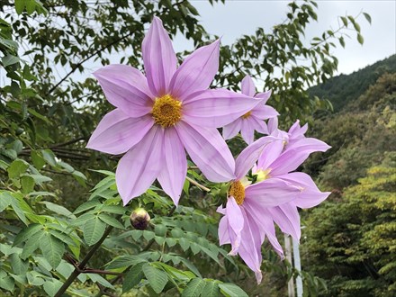 s2019-11-13 12.34.13.jpg