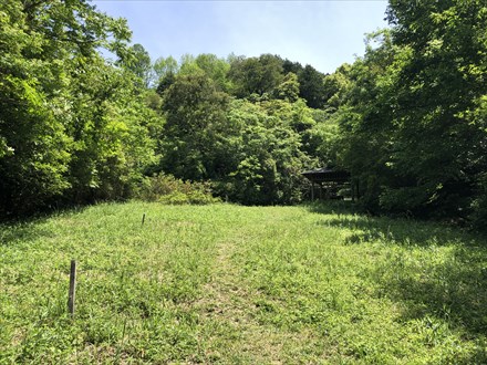 s2020-05-17 11.25.49.jpg