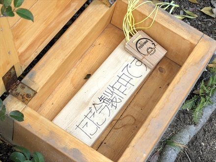 s2019-12-29 10.07.43-1.jpg