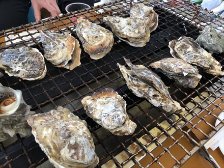 s2019-12-29 12.12.22.jpg