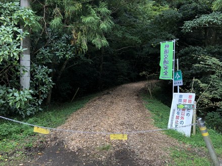 s2020-10-12 12.54.18.jpg