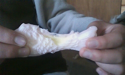 ����Ĥ�Ź�������Τ����Ƥ������Ӥޤ�