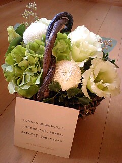 CA383701-0001.JPG