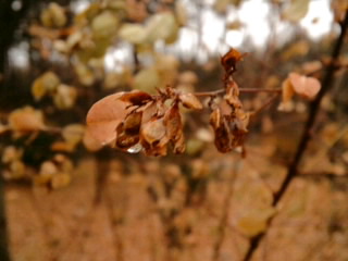 SN3S27730001.jpg