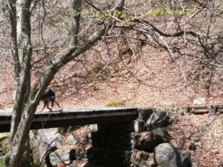 1400413004048.jpg