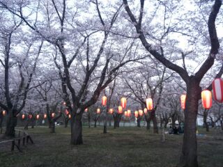 1430461606478.jpg