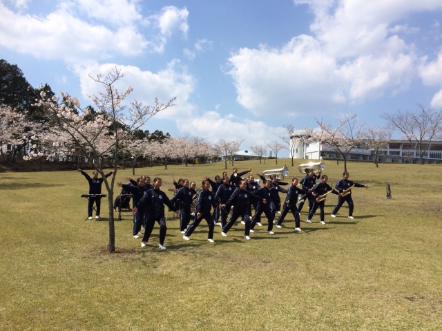 image1.jpeg