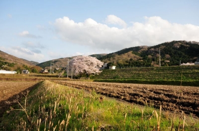そろそろ田植えの準備も