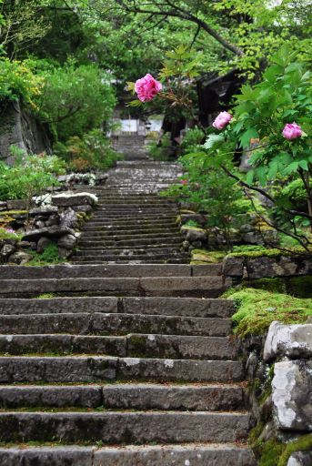長谷寺