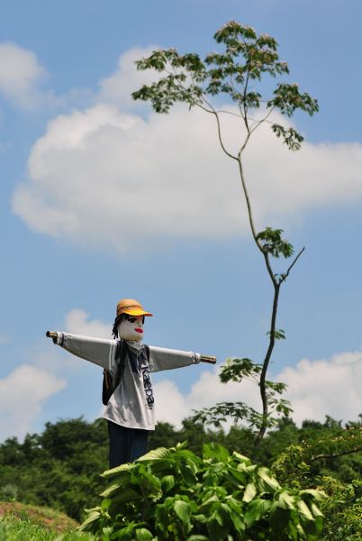 かかし