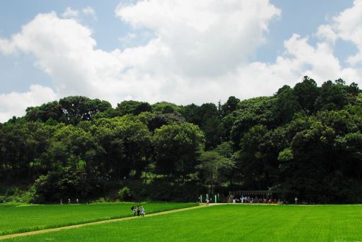 田園の中を歩いて里山へ