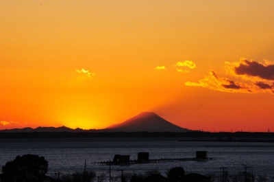 fuji