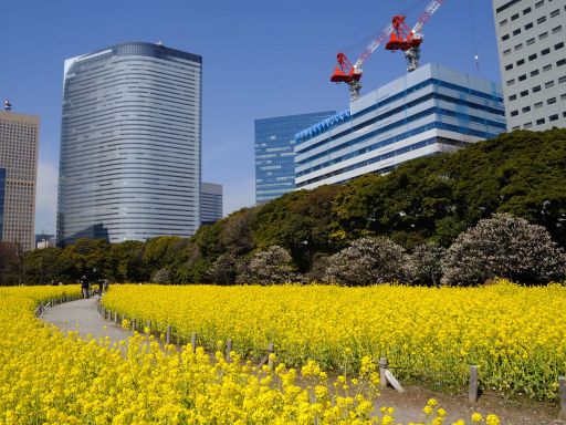 浜離宮恩賜公園