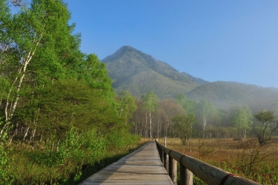 朝の小田代原