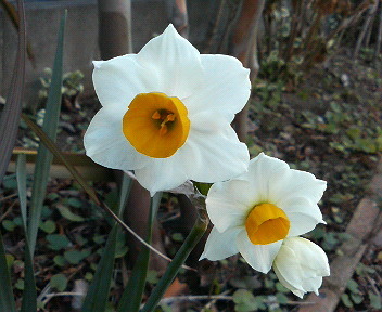 200901021433000.jpg