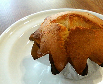 200902071345000.jpg