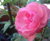20100610141359.jpg