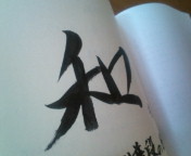 20110108134131.jpg