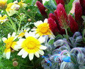 20110504090040.jpg