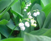 20110509131241.jpg