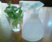 20110623162254.jpg