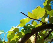 20110717094839.jpg