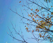 20111007114619.jpg