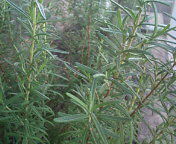 20111007153730.jpg