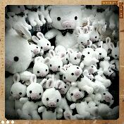 rps20120306_154058_569.jpg