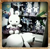 rps20120306_154120_106.jpg