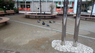 rps20120307_151939_976.jpg
