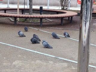 rps20120307_151949.jpg