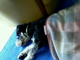rps20120309_162120_320.jpg