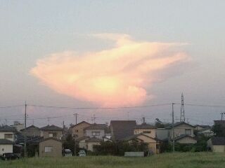rps20120820_222137_570.jpg